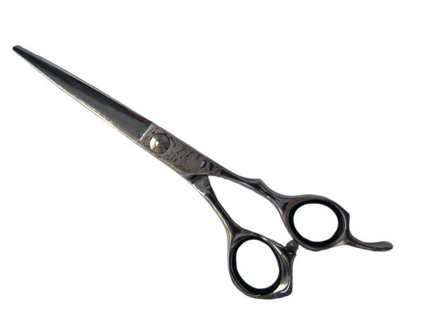 Ножиці перукарські прямі AS60-25 фото